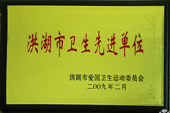 洪湖市衛(wèi)生先進單位